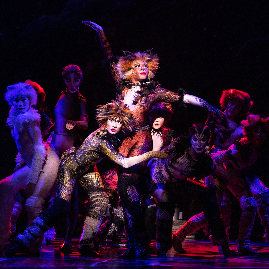 What Is Cats the Musical About?